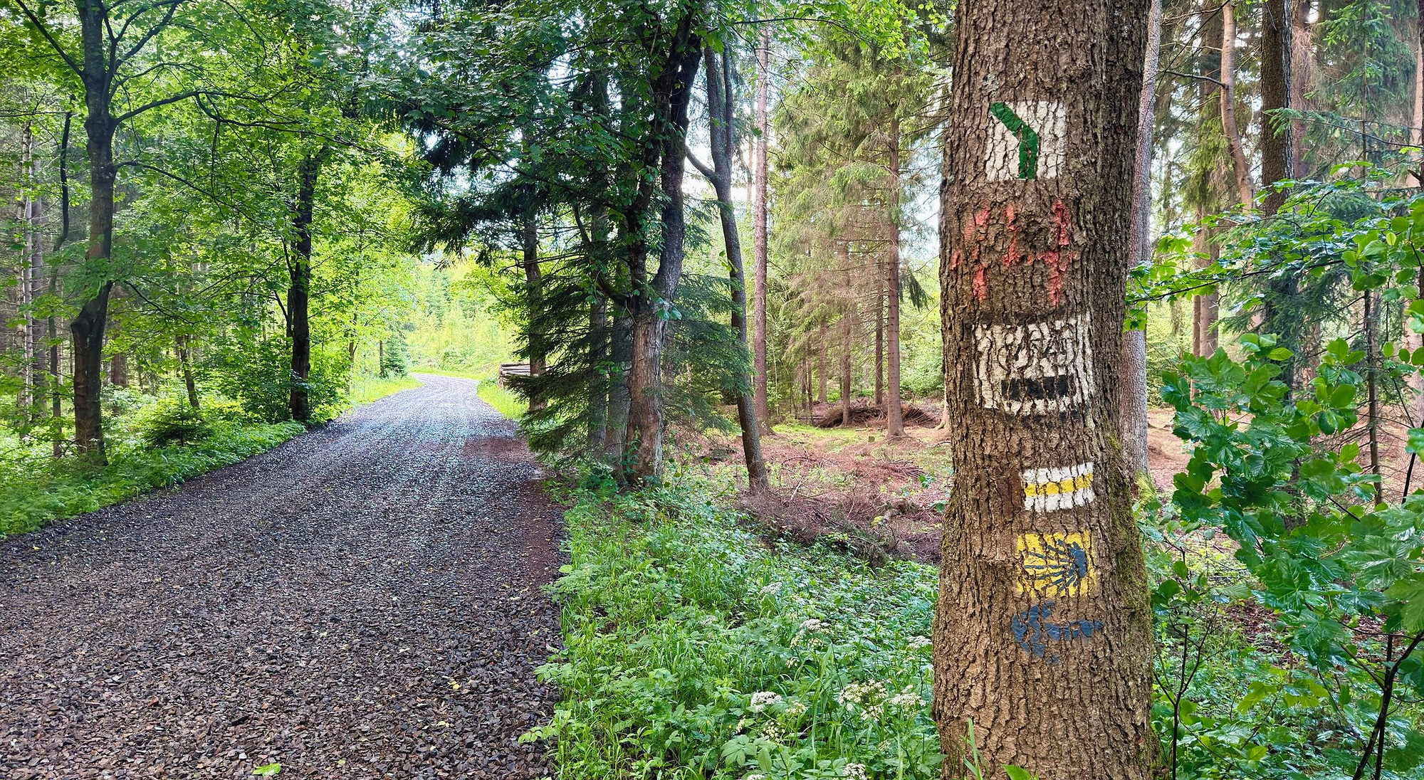Radość Ubitych Dróg Atrakcyjnych Krajobrazów