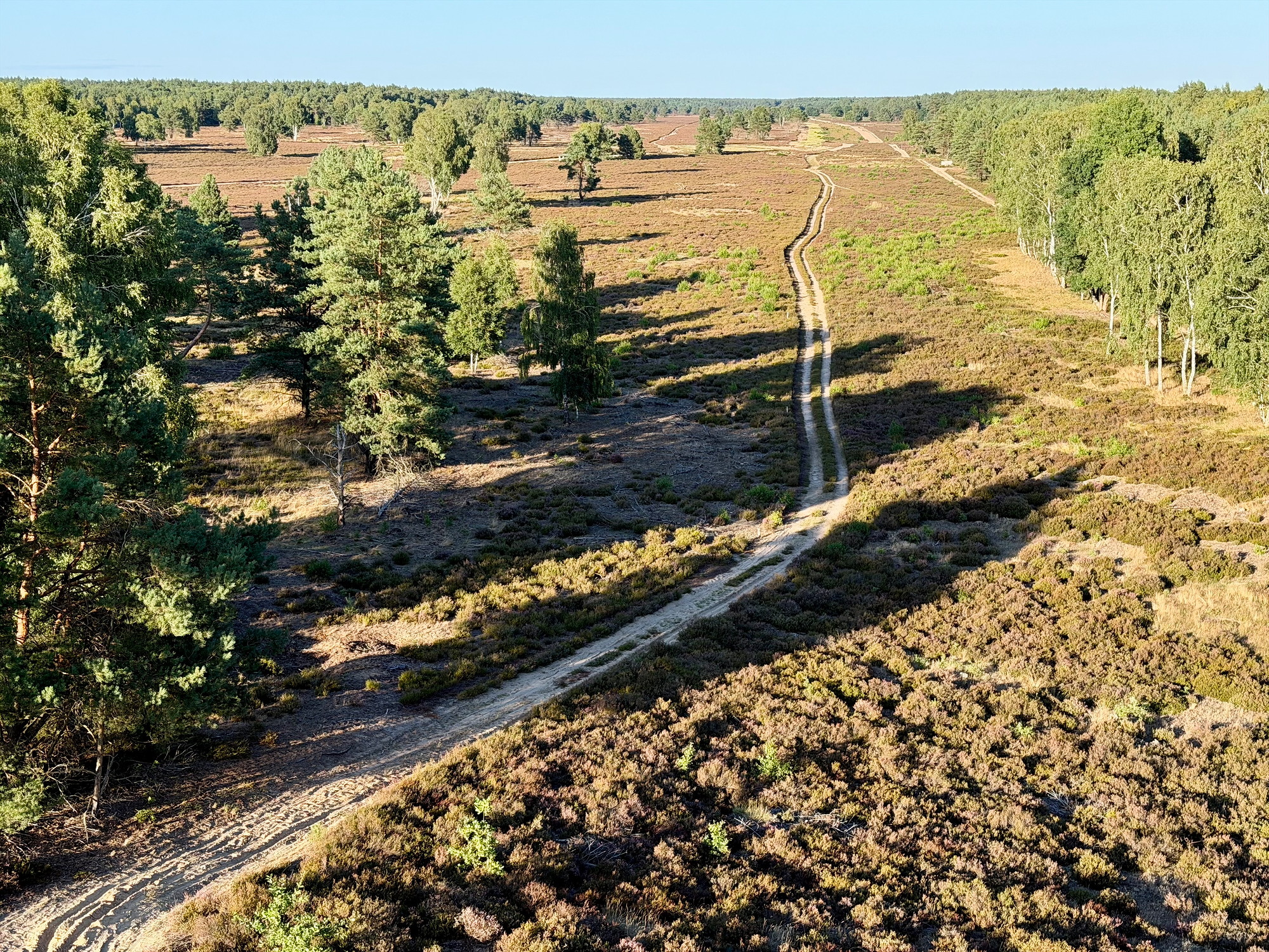 Wittstock-Ruppiner-Heide